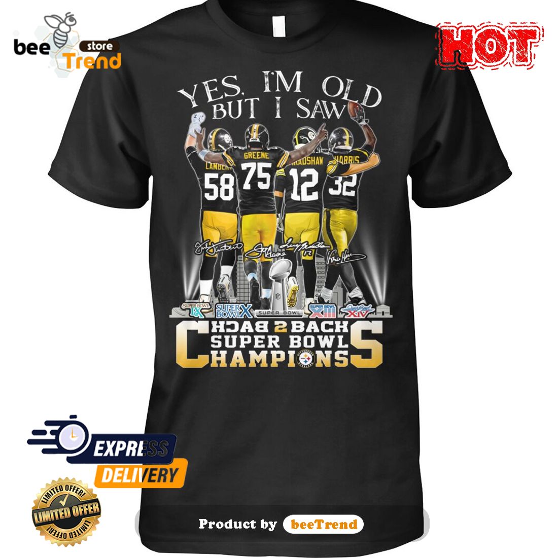 steelers super bowl t shirts